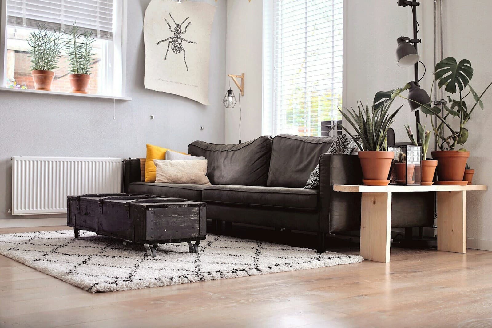 Dark brown leather sofa with cushions in a plant-filled living room